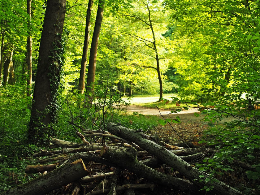 Park Grabiszyński - Zero Waste Urban Parks