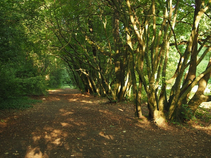 Park Grabiszyński - Zero Waste Urban Parks