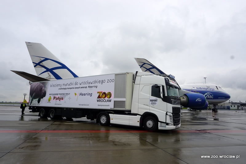Transport manat&oacute;w w 2017