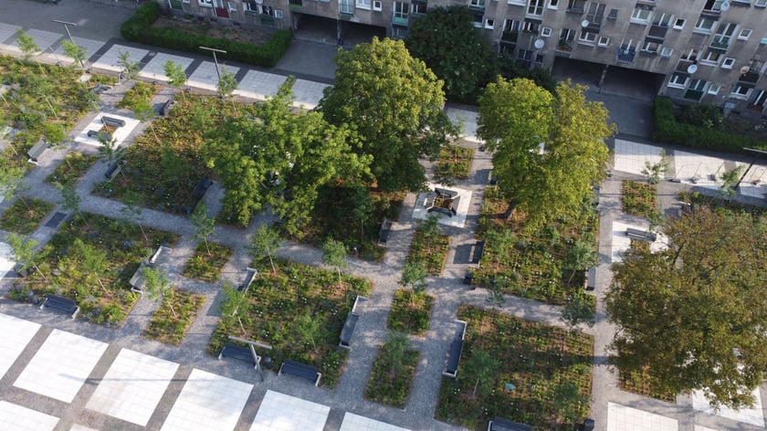 Plac Nowy Targ po zakończeniu prac związanych z zazielenianiem