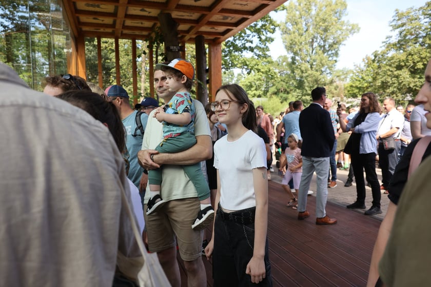 Uroczyste otwarcie nowej Lwiarni we wrocławskim zoo