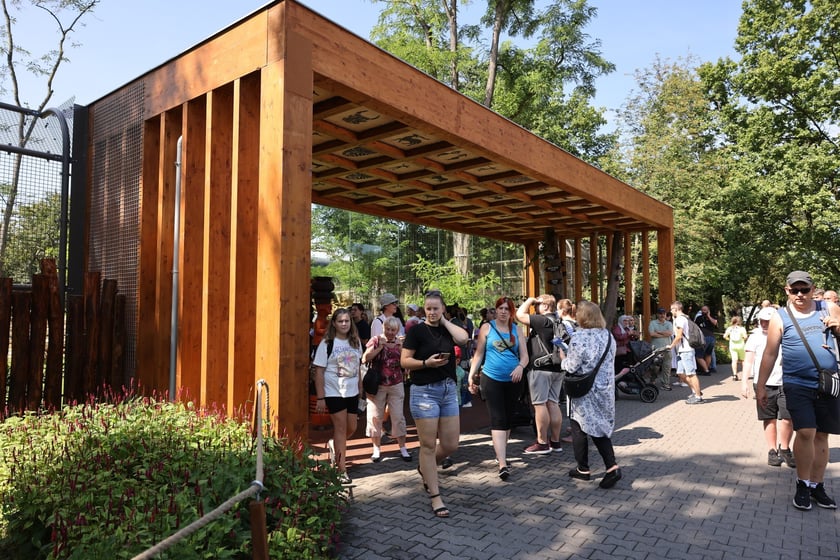 Uroczyste otwarcie nowej Lwiarni we wrocławskim zoo