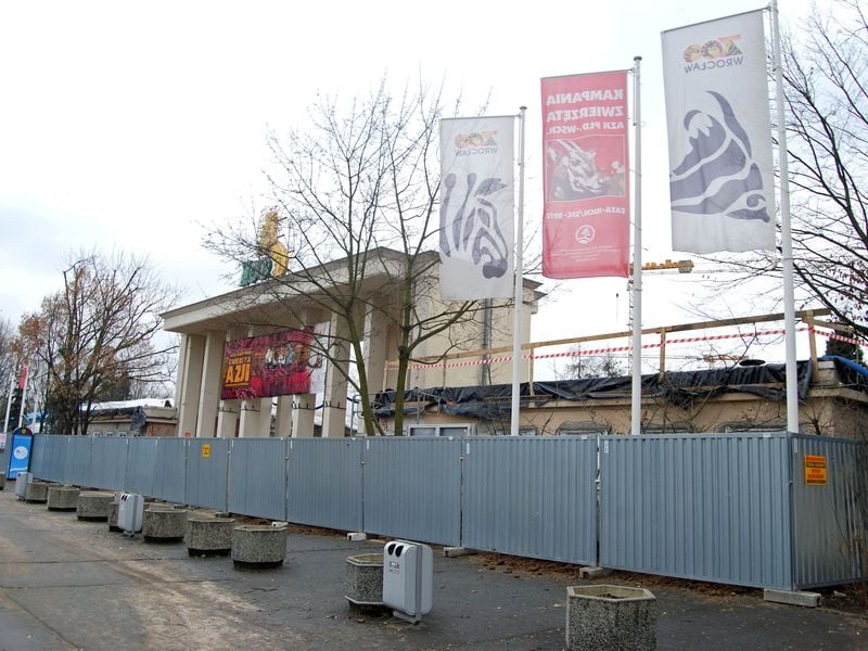 Afrykarium we Wrocławiu kończy w tym roku 10 lat. Oto zdjęcia z budowy