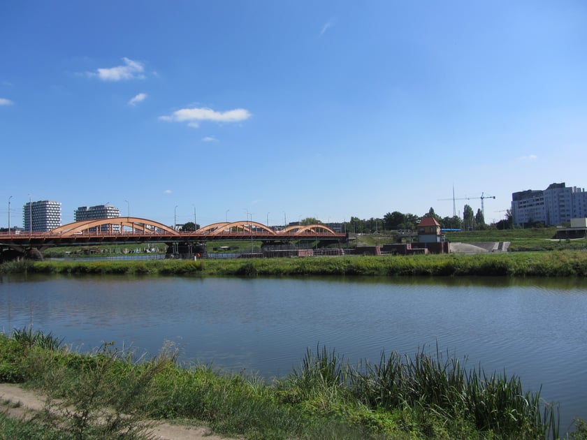 Odra