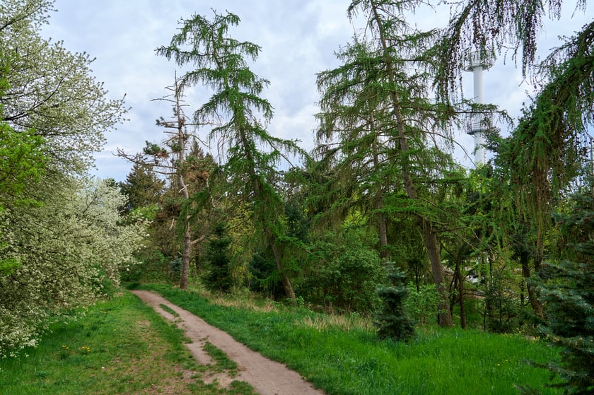 Mała Sobótka - Górka Miłości we Wrocławiu.