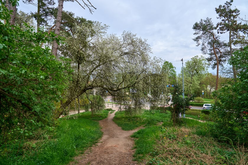 Mała Sobótka - Górka Miłości we Wrocławiu.