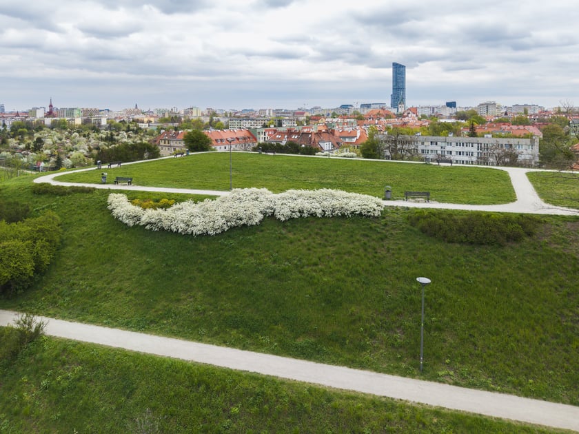 Górka "Pafawag" - Wzgórze Gajowickie we Wrocławiu