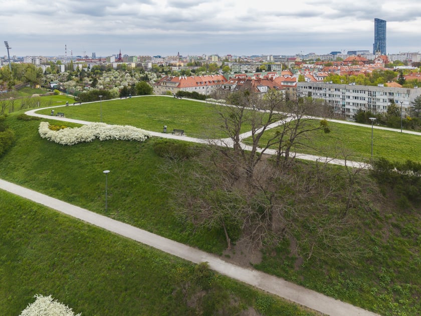 Górka "Pafawag" - Wzgórze Gajowickie we Wrocławiu