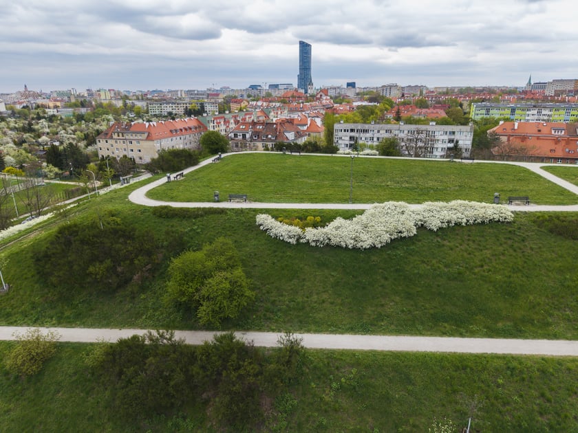 Górka "Pafawag" - Wzgórze Gajowickie we Wrocławiu