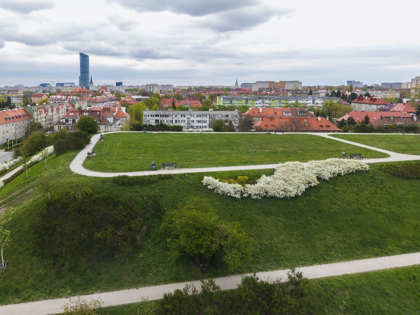 Górka "Pafawag" - Wzgórze Gajowickie we Wrocławiu