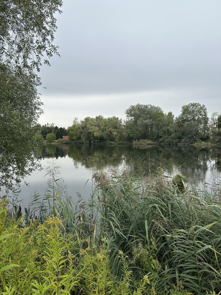 Park przy ul. Rumiankowej