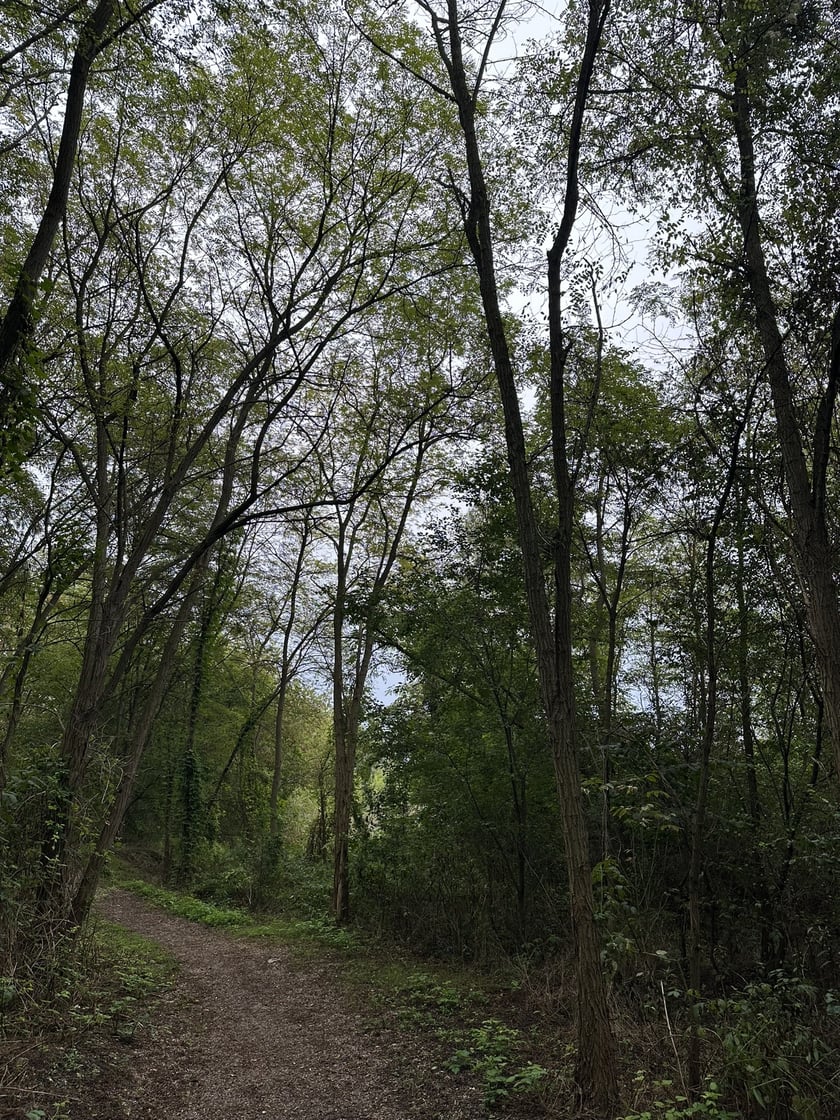 Park przy ul. Rumiankowej