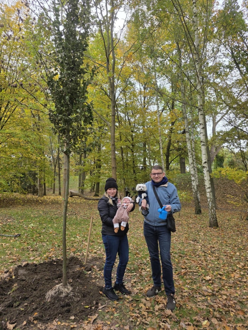 Pani Agnieszka i Pan Bartosz z dwumiesięcznym synkiem Franiem posadzili dla niego drzewko w parku Biskupińskim
