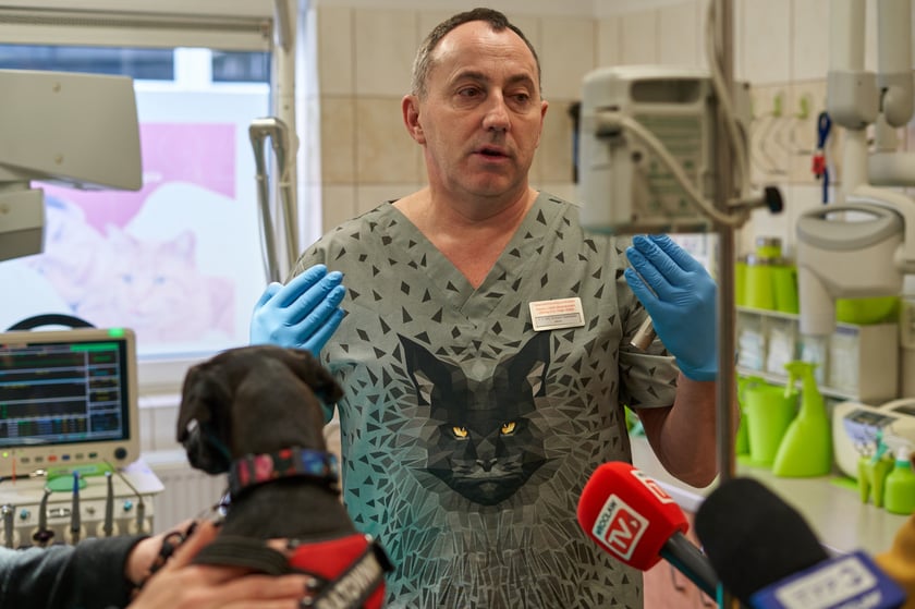 Pokazowe badanie psa pracowniczego wykonane przez weterynarzy Uniwersytetu Przyrodniczego