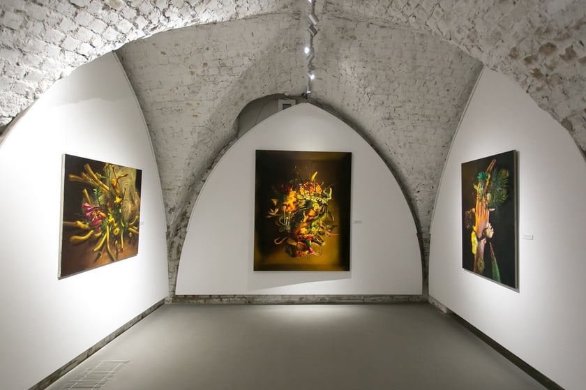 BWA Wrocław Galerie Sztuki Wsp&oacute;łczesnej:&nbsp;Galeria Miejska przy ul. Kiełbaśniczej 28
W Galerii organizowane są wystawy sztuki wsp&oacute;łczesnej r&oacute;żnych estetyk, postaw artystycznych i ekspresji. Wstęp jest darmowy.
Obecnie, do 30 marca, można oglądać wystawę &bdquo;Dotkliwa cielesność&rdquo; &ndash; zbiorowa wystawa o cielesności.
&nbsp;
Na zdjęciu fragment wystawy malarstwa V&iacute;ta Ondr&aacute;čka i Marcina Zawickiego.
&nbsp;