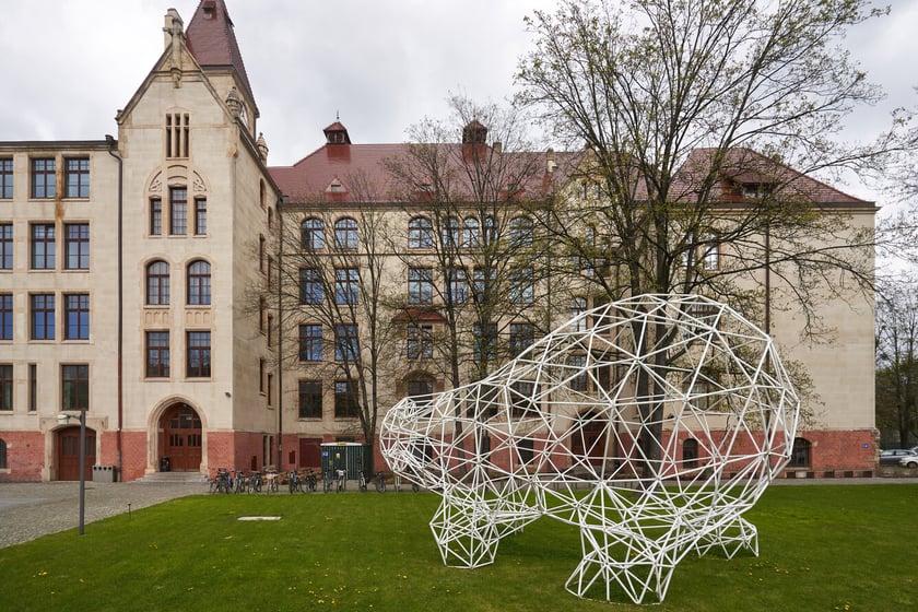 Instalacja z plastikowych rurek, kt&oacute;ra przypomina figurę niedźwiedzia. Z tyłu budynek Wydziału Architektury na Politechnice Wrocławskiej przy ul. Prusa&nbsp;