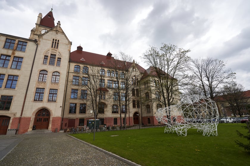Instalacja z plastikowych rurek, kt&oacute;ra przypomina figurę niedźwiedzia. Z tyłu budynek Wydziału Architektury na Politechnice Wrocławskiej przy ul. Prusa&nbsp;