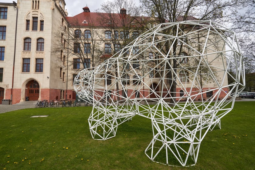 Instalacja z plastikowych rurek, kt&oacute;ra przypomina figurę niedźwiedzia. Z tyłu budynek Wydziału Architektury na Politechnice Wrocławskiej przy ul. Prusa&nbsp;
