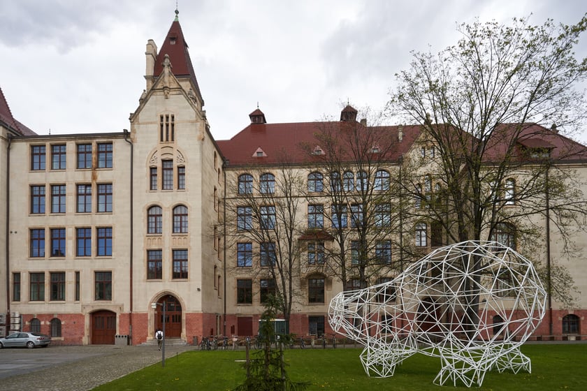 Instalacja z plastikowych rurek, kt&oacute;ra przypomina figurę niedźwiedzia. Z tyłu budynek Wydziału Architektury na Politechnice Wrocławskiej przy ul. Prusa&nbsp;