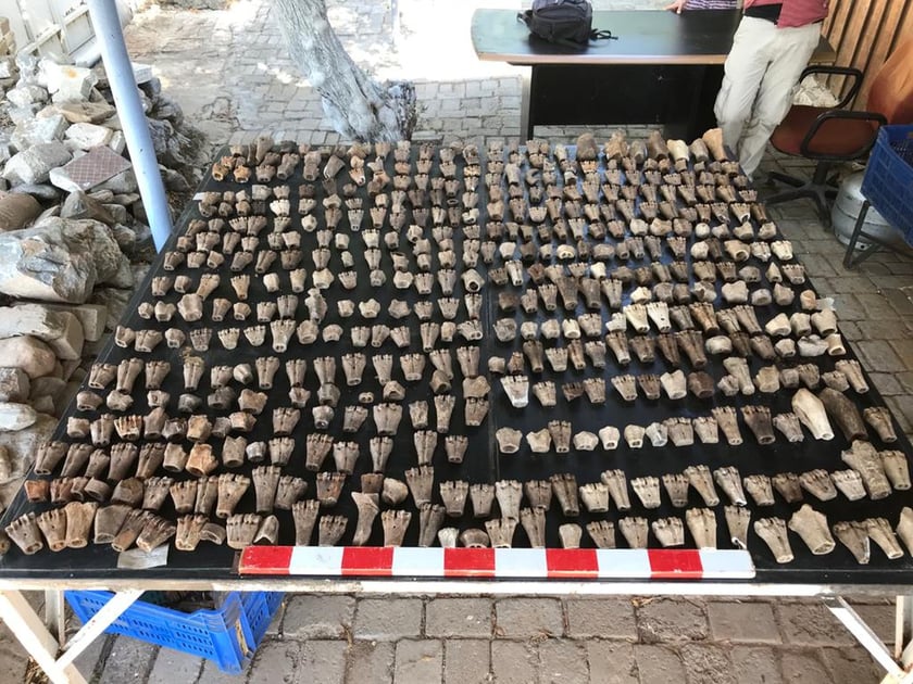 Odkopane przez archeologów kości