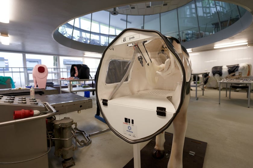 Sala ćwiczeń w Klinice Rozrodu z Kliniką Zwierząt Gospodarskich Uniwersytetu Przyrodniczego we Wrocławiu