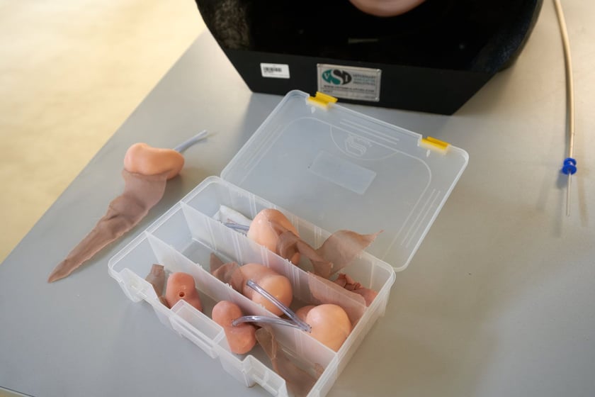Sala ćwiczeń w Klinice Rozrodu z Kliniką Zwierząt Gospodarskich Uniwersytetu Przyrodniczego we Wrocławiu