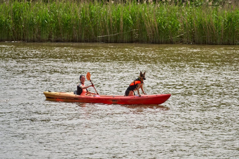 Piknik na rozpoczęcie Juwenaliów Wrocławskich