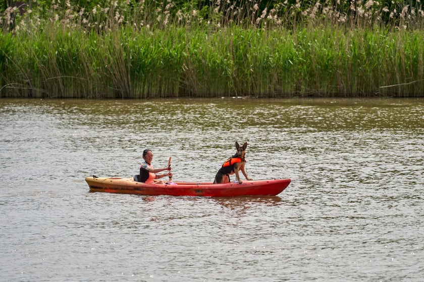 Piknik na rozpoczęcie Juwenaliów Wrocławskich