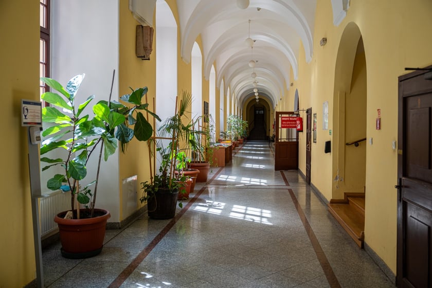 Budynek Wydziału Filologii przy placu Nankiera 15&nbsp;