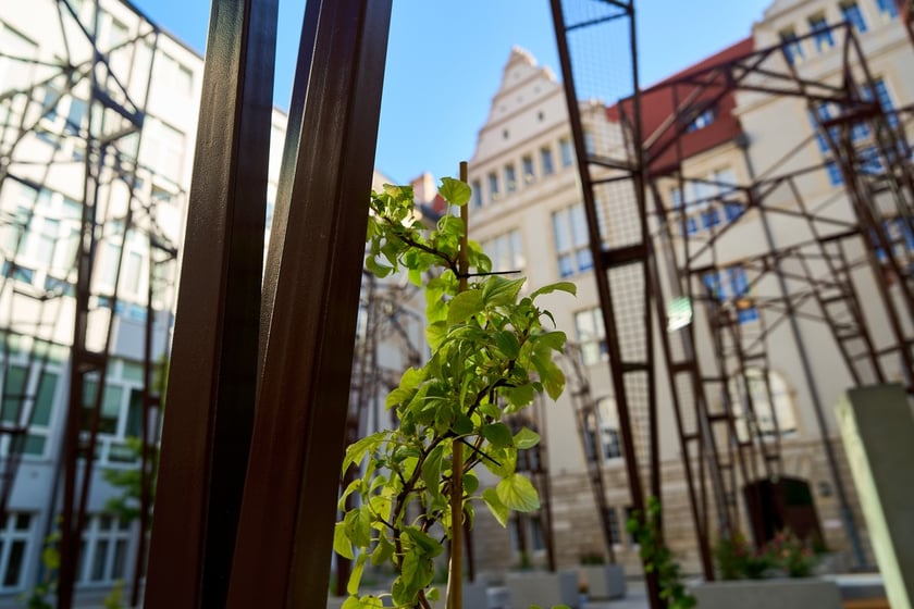 Dziedziniec w gmachu głównym Politechniki Wrocławskiej po modernizacji