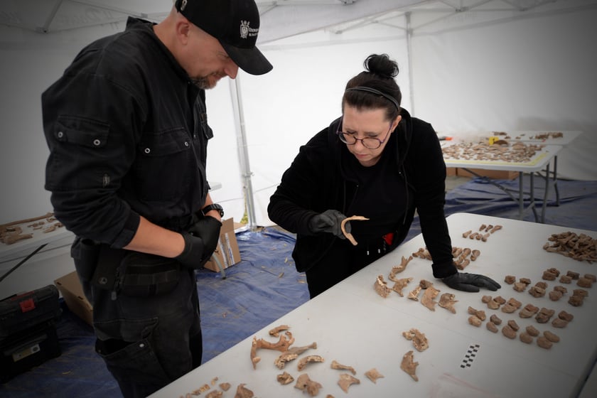 Prace poszukiwacze we Lwowie