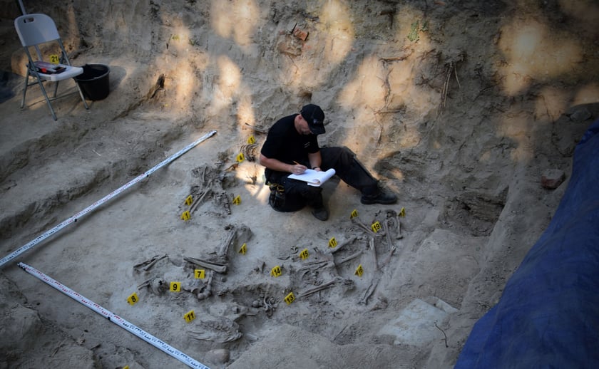 Prace poszukiwacze we Lwowie