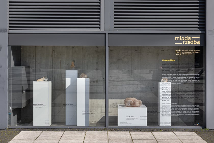 Witryny na pl. Nowy Targ