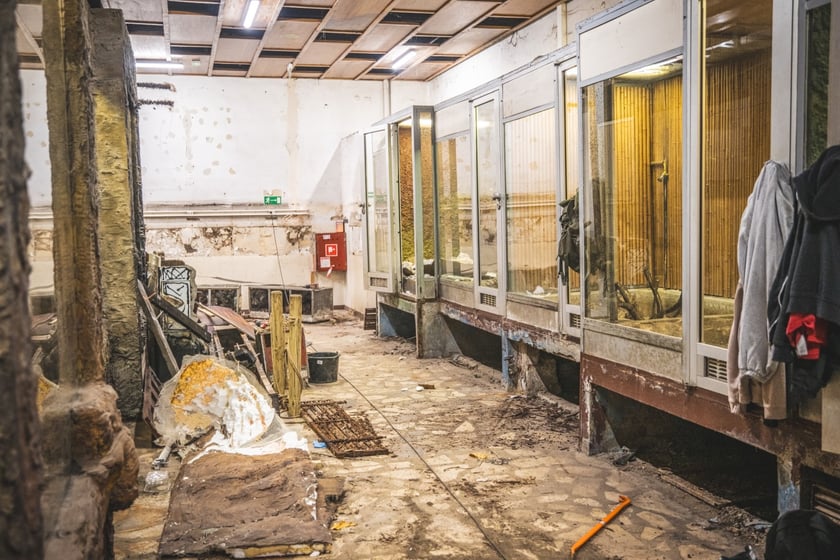 Modernizacja budynku terrarium w ogrodzie zoologicznym.