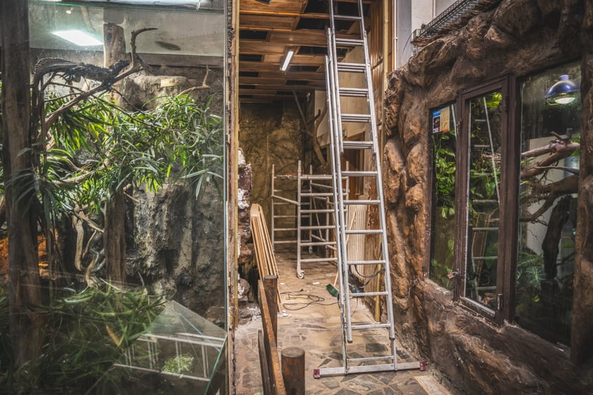 Modernizacja budynku terrarium w ogrodzie zoologicznym.