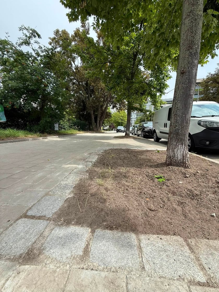 Wyremontowany chodnik na ul. Niedźwiedziej.