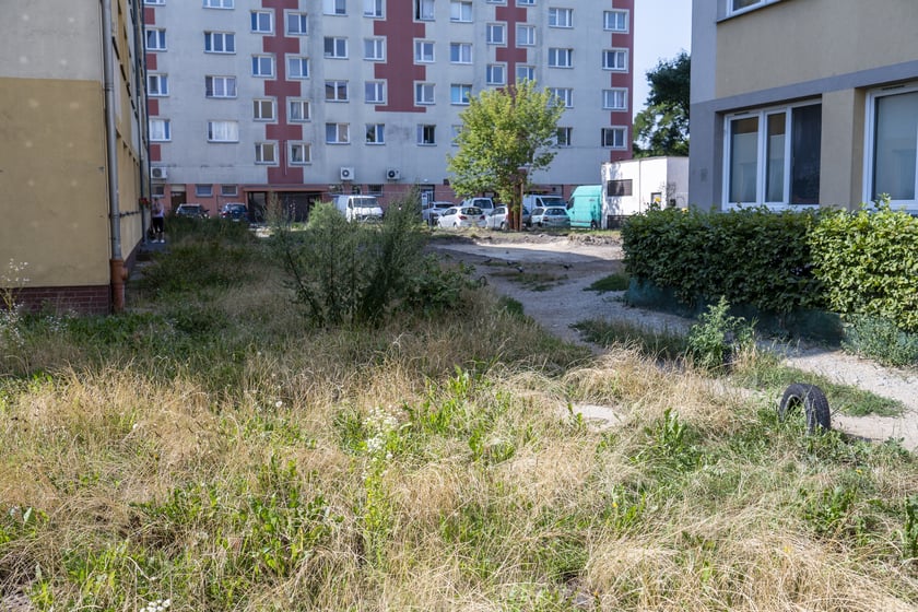 Podwórze między ulicami Hallera, Mielecką, Połaniecką i Stalowowolską - rozpoczęcie zagospodarowania.