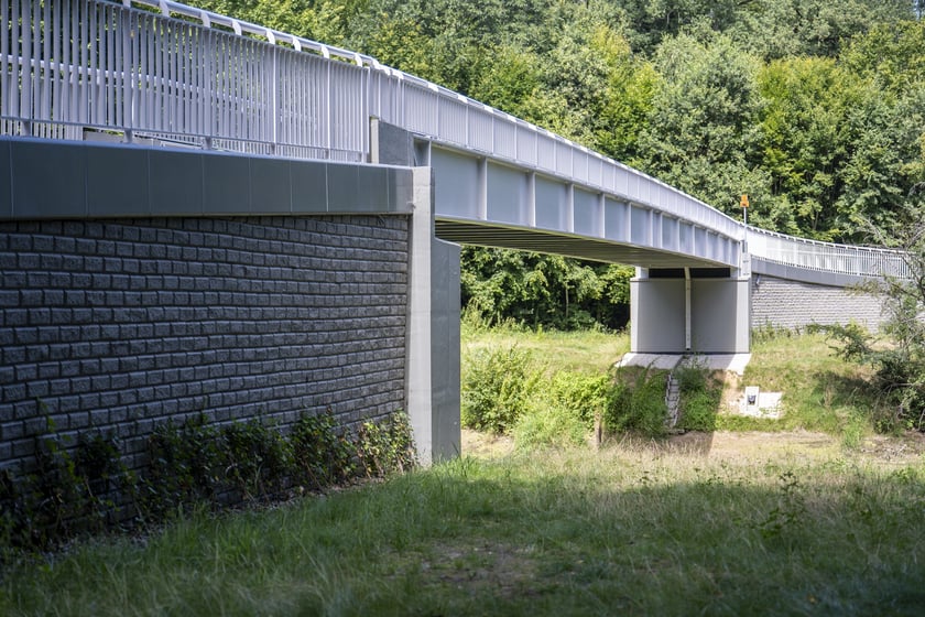 Kładka nad Widawą.