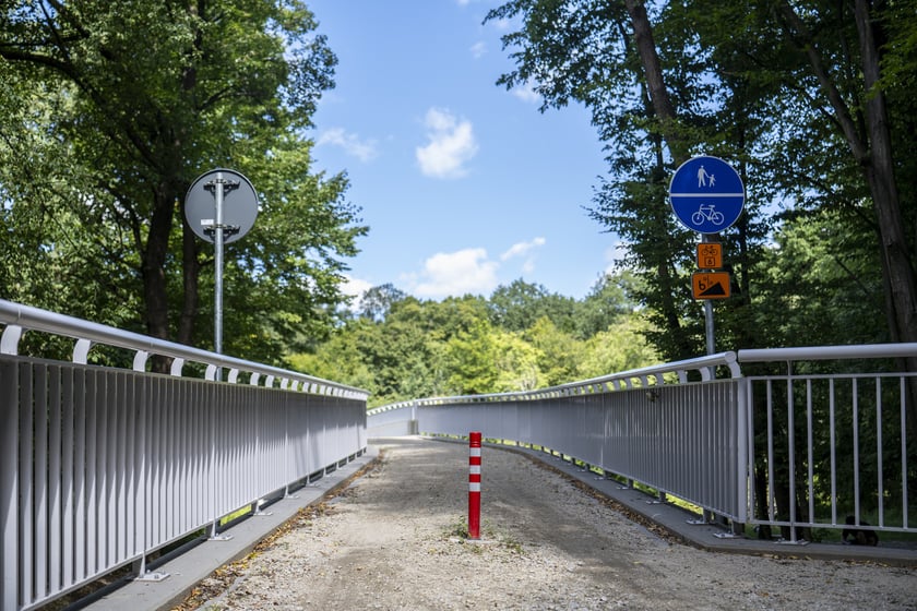 Kładka nad Widawą.