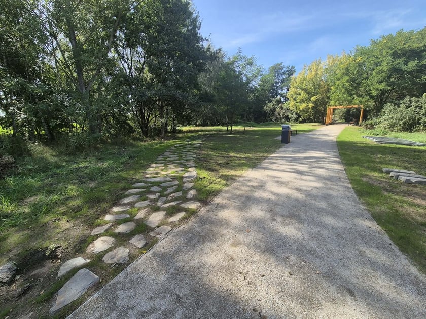 Tworzenie parku 