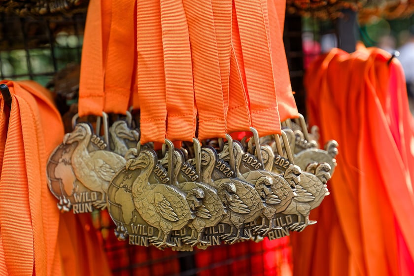 10. edycja Wild Run we wrocławskim ogrodzie zoologicznym, 4 października 2026 r.