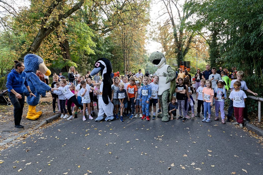 10. edycja Wild Run we wrocławskim ogrodzie zoologicznym, 4 października 2026 r.