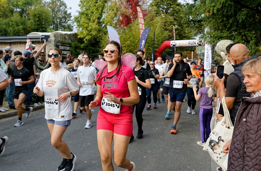 10. edycja Wild Run we wrocławskim ogrodzie zoologicznym, 4 października 2026 r.