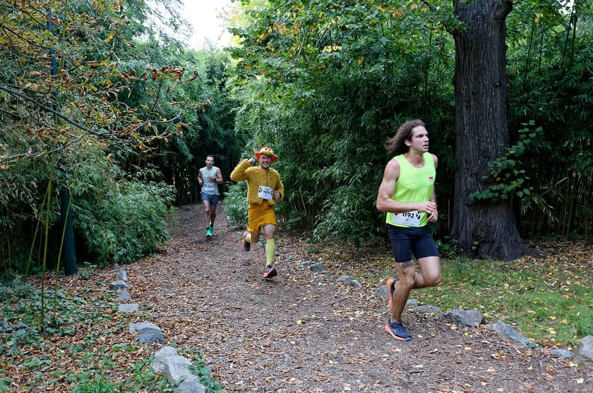 10. edycja Wild Run we wrocławskim ogrodzie zoologicznym, 4 października 2026 r.