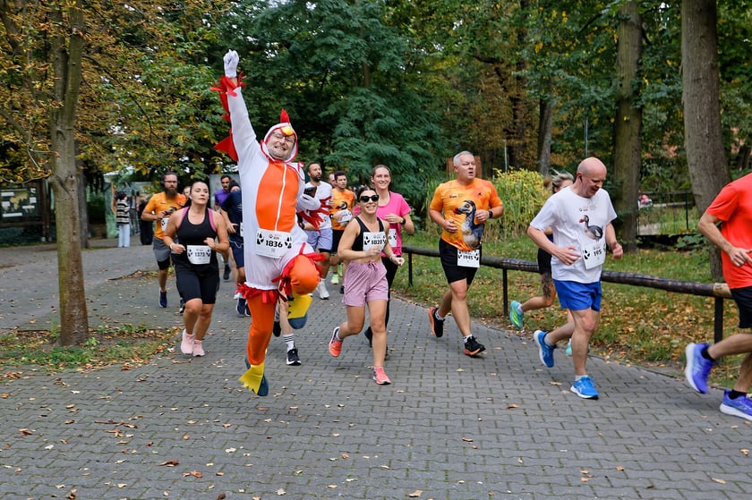 10. edycja Wild Run we wrocławskim ogrodzie zoologicznym, 4 października 2026 r.