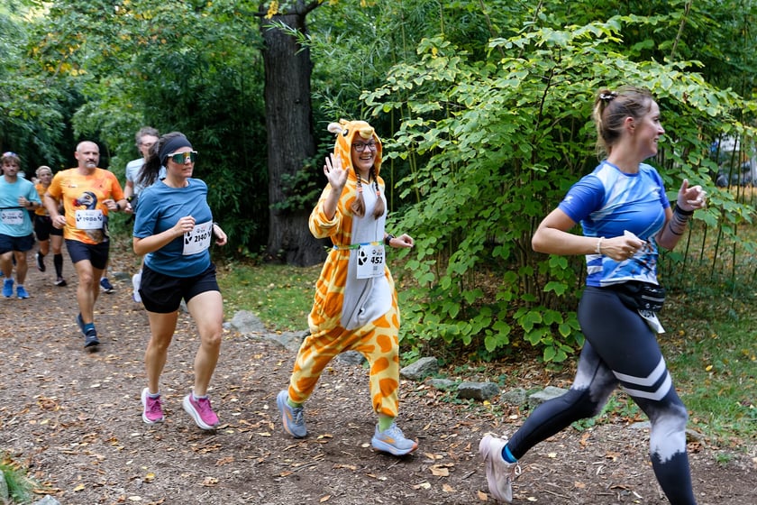 10. edycja Wild Run we wrocławskim ogrodzie zoologicznym, 4 października 2026 r.