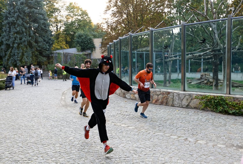 10. edycja Wild Run we wrocławskim ogrodzie zoologicznym, 4 października 2026 r.