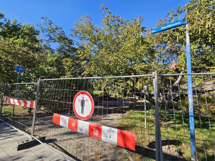 I etap rewitalizacji Parku Tołpy na Ołbnie.