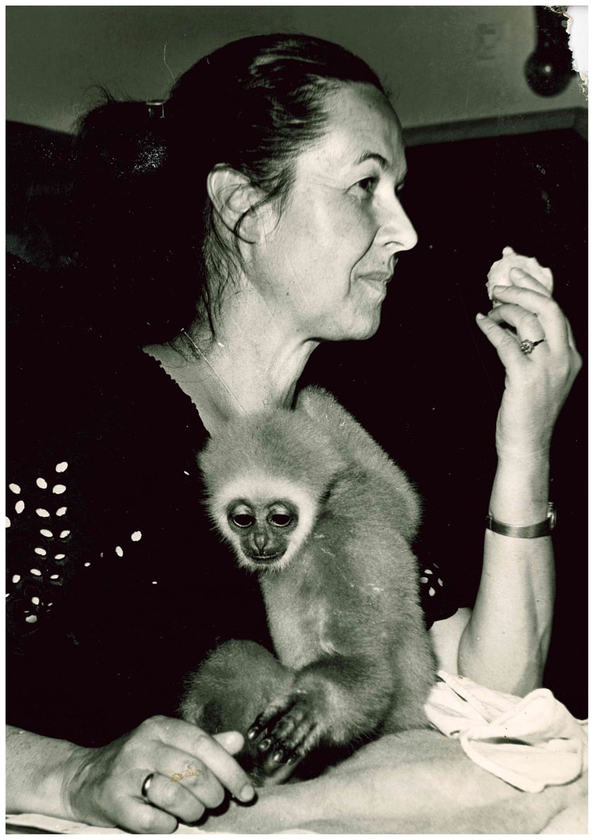 Hanna Gucwińska