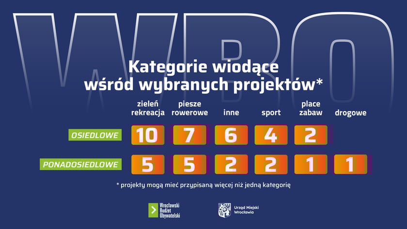 <p>Kategorie wiodące wśród wybranych projektów, infografika</p>